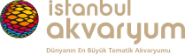İstanbul Akvaryum Logo